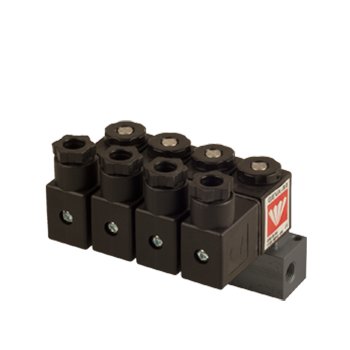 BACCARA 以色列 G80-M | Manifold