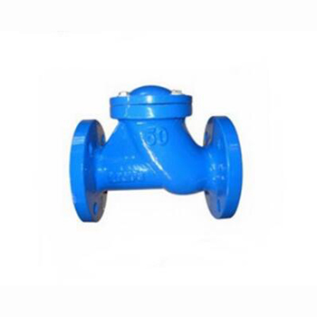 Regus 雷格斯 進(jìn)口滑道滾球式止回閥