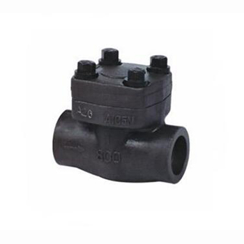 Regus 雷格斯 進(jìn)口鍛鋼止回閥