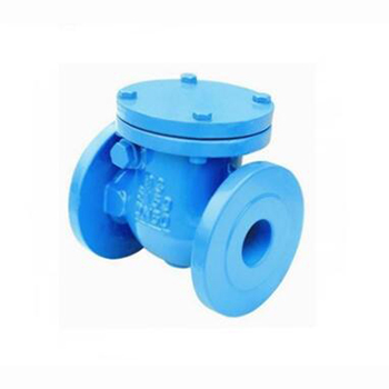 Regus 雷格斯 進(jìn)口法蘭止回閥