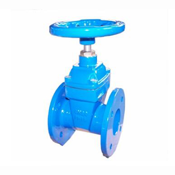 Regus 雷格斯 進口軟密封閘閥