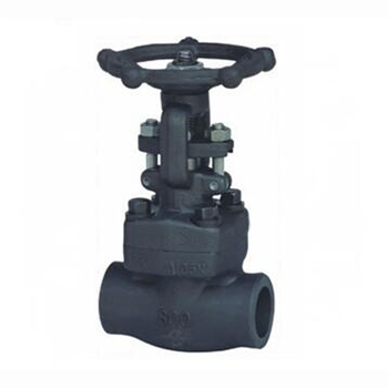 Regus 雷格斯 進口螺紋高壓閘閥