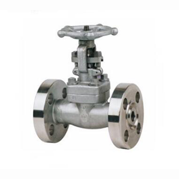 Regus 雷格斯 進口高壓閘閥