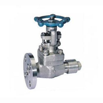 Regus 雷格斯 進口放空閘閥