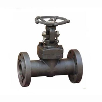 Regus 雷格斯 進口鍛鋼閘閥