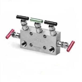 Regus 雷格斯 進(jìn)口五閥組