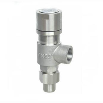 Regus 雷格斯 進口螺紋安全閥