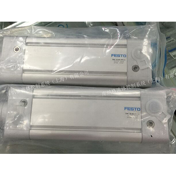 DNC-50-80-PPV-A 德國(guó)費(fèi)斯托 FESTO