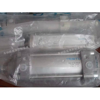 DNG-63-80-PPV-A 德國(guó)費(fèi)斯托 FESTO