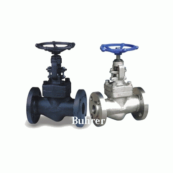 進口鍛鋼截止閥 Buhrer 美國布雷爾