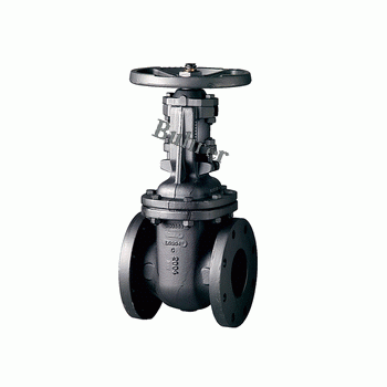 進(jìn)口鑄鐵閘閥 Buhrer 美國(guó)布雷爾