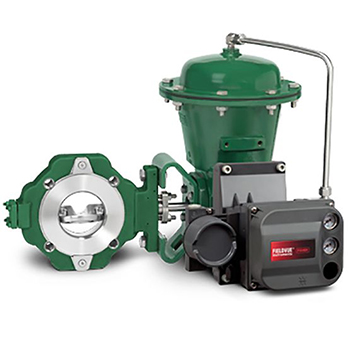 Fisher? 8580 高性能蝶閥 EMERSON