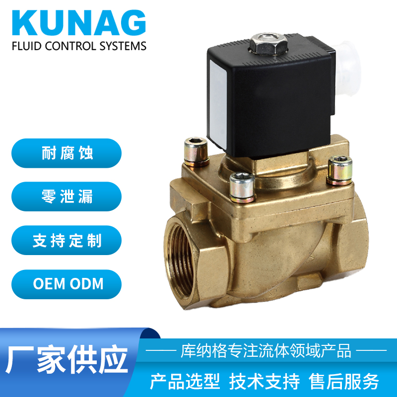 PTFE膜片電磁閥 兩位兩通 聚四氟乙烯 蒸汽閥