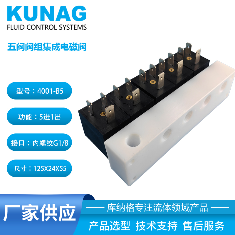 聚四氟乙烯電磁閥 PTFE 塑料 耐腐蝕閥組5進(jìn)1出 1進(jìn)5出